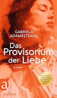 Das Provisorium der Liebe - Gabriela Adamesteanu - E-Book