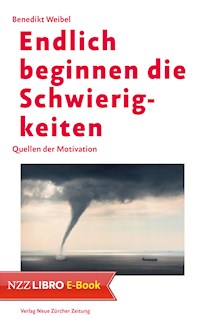 Endlich beginnen die Schwierigkeiten - Benedikt Weibel - E-Book