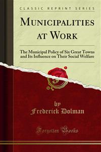 Municipalities at Work - Frederick Dolman - E-Book