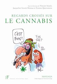 Regards croisés sur le cannabis - Étienne Quertemont - E-Book