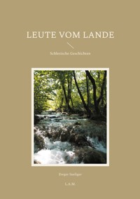 Leute vom Lande - Ewger Seeliger - E-Book