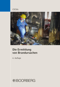 Die Ermittlung von Brandursachen - Jörg Cicha - E-Book