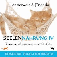 Seelennahrung 4: Texte zur Besinnung und Einkehr (Tepperwein and Friends) -  - Hörbuch
