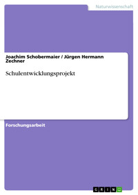 Schulentwicklungsprojekt - Joachim Schobermaier - E-Book