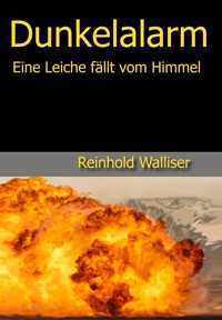Dunkelalarm - Reinhold Walliser - E-Book