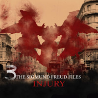 A Historical Psycho Thriller Series - The Sigmund Freud Files, Episode 3: Injury - Heiko Martens - Hörbuch
