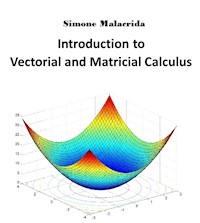Introduction to Vectorial and Matricial Calculus - Simone Malacrida - E-Book