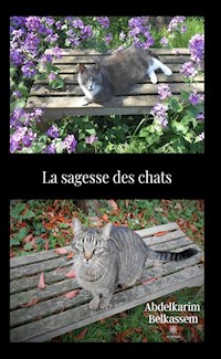 La sagesse des chats - Abdelkarim Belkassem - E-Book