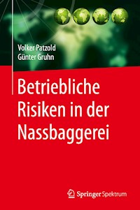 Betriebliche Risiken in der Nassbaggerei - Volker Patzold - E-Book