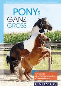 Ponys ganz groß - Ruth Katzenberger - E-Book