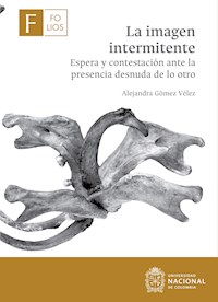 La imagen intermitente - Alejandra Gómez Vélez - E-Book