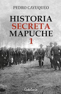 Historia secreta mapuche 1 - Pedro Cayuqueo - E-Book