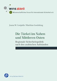 Die Türkei im Nahen und Mittleren Osten - Joana M. Caripidis - E-Book