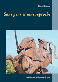 Sans peur et sans reproche - Hervé Ponsot - E-Book