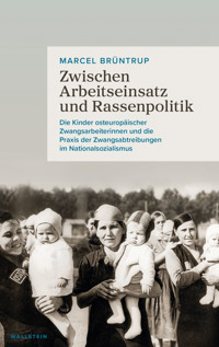 Zwischen Arbeitseinsatz und Rassenpolitik - Marcel Brüntrup - E-Book