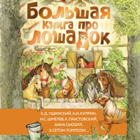 Большая книга про лошадок - Куприн Александр - Hörbuch