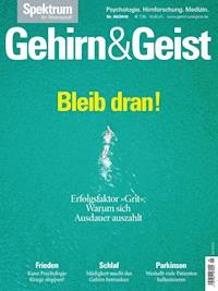 Gehirn&Geist 6/2018 Bleib dran! -  - E-Book