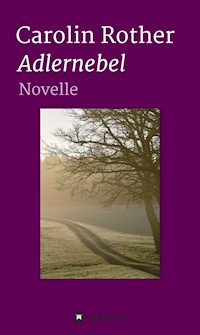 Adlernebel - Carolin Rother - E-Book
