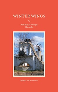 Winter Wings - Monika von Borthwick - E-Book