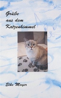 Grüße aus dem Katzenhimmel - Elke Mayer - E-Book