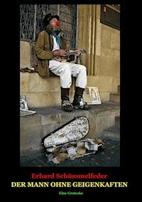 DER MANN OHNE GEIGENKAFTEN - Erhard Schümmelfeder - E-Book