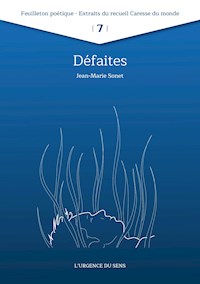 Défaites - Jean-Marie Sonet - E-Book