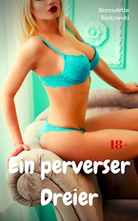 Ein perverser Dreier - Bernadette Binkowski - E-Book