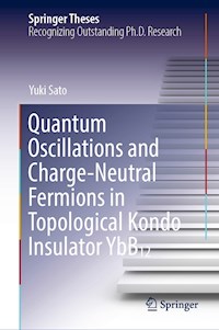 Quantum Oscillations and Charge-Neutral Fermions in Topological Kondo Insulator YbB₁₂ - Yuki Sato - E-Book