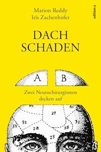 Dachschaden - Marion Reddy - E-Book
