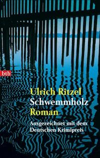 Schwemmholz - Ulrich Ritzel - E-Book
