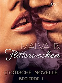 Begierde 1 - Flitterwochen: Erotische Novelle - Malva B. - E-Book