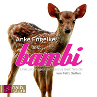 Bambi - Salten Felix - Hörbuch