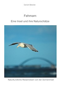 Fehmarn - Gerwin Bärecke - E-Book