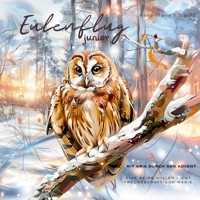 Eulenflug junior - Anna-Maria Böswald - E-Book