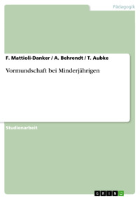 Vormundschaft bei Minderjährigen - F. Mattioli-Danker - E-Book