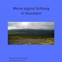 Meine eigene Sichtung in Hessdalen - Mattis Lühmann - Hörbuch