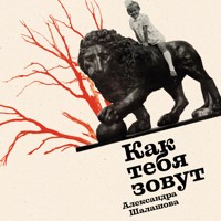 Как тебя зовут - Александра Шалашова - Hörbuch