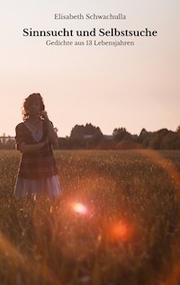 Sinnsucht und Selbstsuche - Elisabeth Schwachulla - E-Book
