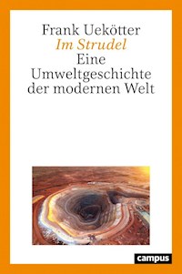 Im Strudel - Frank Uekötter - E-Book