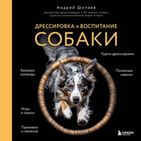 Дрессировка и воспитание собаки - Андрей Шкляев - Hörbuch