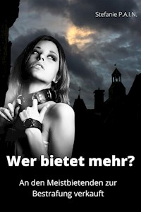 Wer bietet mehr? - P.A.I.N. Stefanie - E-Book