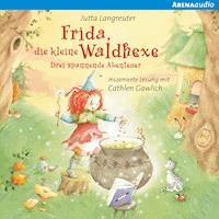 Frida, die kleine Waldhexe - Drei spannende Abenteuer - Jutta Langreuter - Hörbuch