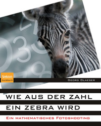 Wie aus der Zahl ein Zebra wird - Georg Glaeser - E-Book
