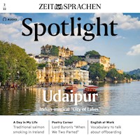 Englisch lernen Audio - Udaipur - Owen Connors - Hörbuch