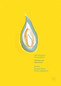 The European Gas Markets - - E-Book