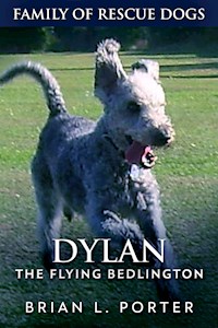 Dylan - Brian L. Porter - E-Book