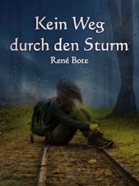 Kein Weg durch den Sturm - René Bote - E-Book