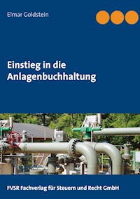 Einstieg in die Anlagenbuchhaltung - Elmar Goldstein - E-Book