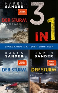 Der Sturm: Die Trilogie (3in1 Bundle) - Karen Sander - E-Book