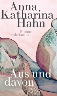 Aus und davon - Anna Katharina Hahn - E-Book